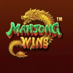 Amergg Mahjong Wins