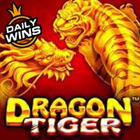 Amergg Dragon Tiger™
