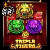Amergg Triple Tigers™