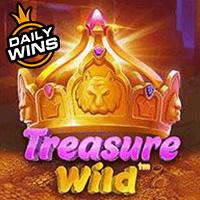 Amergg Treasure Wild™