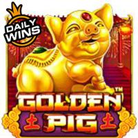 Amergg Golden Pig™