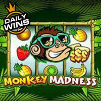 Amergg Monkey Madness™